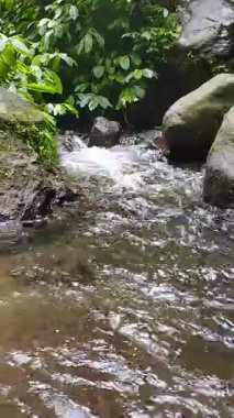 Kayalar ve yemyeşil sularda guruldayan akıntı