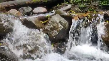 Yumuşak Şelale Ormandaki Kayalıkların Üzerinde Şelale Şelalesi