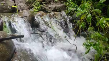 Serene Ormanı Şelalesi Kayaların Arasında Çağlayarak Yeşilliğin Ortasında