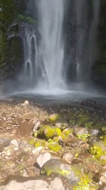 Görkemli Şelale Yosun kaplı kayaların üzerinde çağlıyor