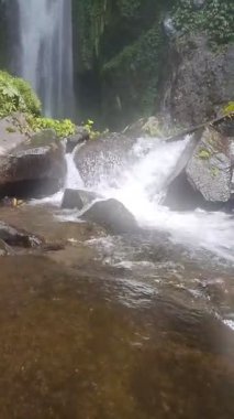 Yosun Ormanındaki Kayalıkların Üzerindeki Şelale Suyu