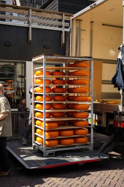 Alkmaar, Hollanda 16 Mart 2025: Waagplein Meydanı 'nda peynir tekerlekleri taşıyan Hollanda' nın beyaz üniformalı ve saman şapkalı peynir taşıyıcılarının yer aldığı geleneksel Alkmaar Peynir Pazarı 'nın (Kaasmarkt) editoryal görüntüleri. 