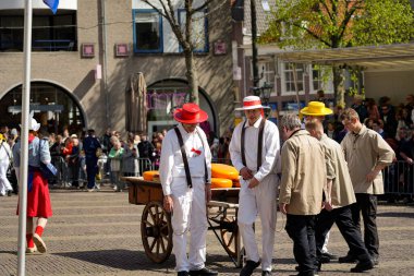 Alkmaar, Hollanda 16 Mart 2025: Waagplein Meydanı 'nda peynir tekerlekleri taşıyan Hollanda' nın beyaz üniformalı ve saman şapkalı peynir taşıyıcılarının yer aldığı geleneksel Alkmaar Peynir Pazarı 'nın (Kaasmarkt) editoryal görüntüleri. 