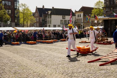 Alkmaar, Hollanda 16 Mart 2025: Waagplein Meydanı 'nda peynir tekerlekleri taşıyan Hollanda' nın beyaz üniformalı ve saman şapkalı peynir taşıyıcılarının yer aldığı geleneksel Alkmaar Peynir Pazarı 'nın (Kaasmarkt) editoryal görüntüleri. 