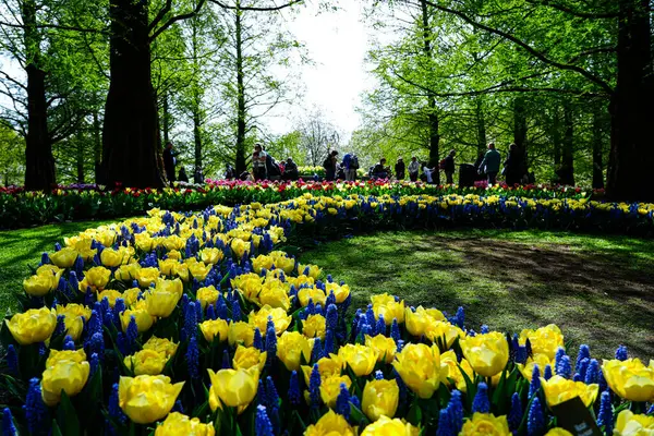 Keukenhof Park, Lisse, Hollanda 18 Nisan 2025: Dünyanın en ünlü çiçek bahçelerinden birinde çiçek açan laleler arasında kalabalık yürüyor. Park, lale türleri ve canlı bahar renklerinin çarpıcı çeşitliliğini sergiliyor.