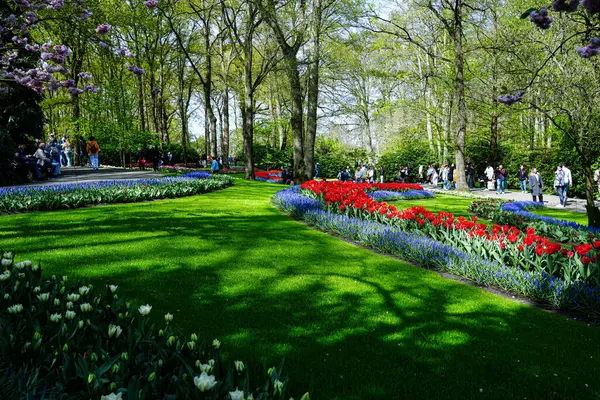 Keukenhof Park, Lisse, Hollanda 18 Nisan 2025: Dünyanın en ünlü çiçek bahçelerinden birinde çiçek açan laleler arasında kalabalık yürüyor. Park, lale türleri ve canlı bahar renklerinin çarpıcı çeşitliliğini sergiliyor.