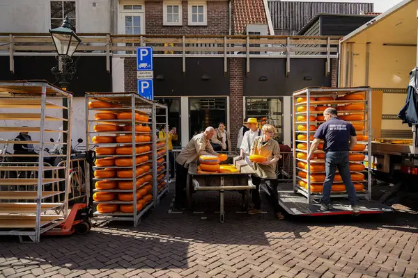 Alkmaar, Hollanda 16 Mart 2025: Waagplein Meydanı 'nda peynir tekerlekleri taşıyan Hollanda' nın beyaz üniformalı ve saman şapkalı peynir taşıyıcılarının yer aldığı geleneksel Alkmaar Peynir Pazarı 'nın (Kaasmarkt) editoryal görüntüleri. 