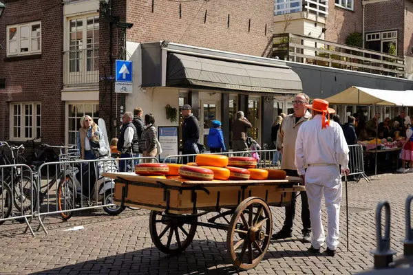 Alkmaar, Hollanda 16 Mart 2025: Waagplein Meydanı 'nda peynir tekerlekleri taşıyan Hollanda' nın beyaz üniformalı ve saman şapkalı peynir taşıyıcılarının yer aldığı geleneksel Alkmaar Peynir Pazarı 'nın (Kaasmarkt) editoryal görüntüleri. 