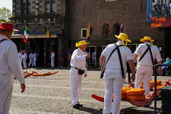 Alkmaar, Hollanda 16 Mart 2025: Waagplein Meydanı 'nda peynir tekerlekleri taşıyan Hollanda' nın beyaz üniformalı ve saman şapkalı peynir taşıyıcılarının yer aldığı geleneksel Alkmaar Peynir Pazarı 'nın (Kaasmarkt) editoryal görüntüleri. 