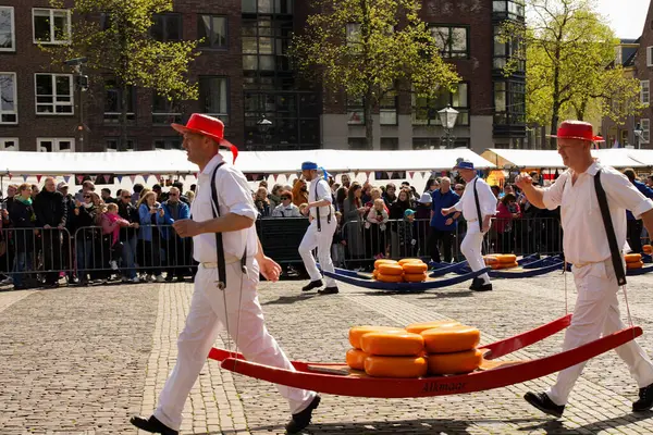 Alkmaar, Hollanda 16 Mart 2025: Waagplein Meydanı 'nda peynir tekerlekleri taşıyan Hollanda' nın beyaz üniformalı ve saman şapkalı peynir taşıyıcılarının yer aldığı geleneksel Alkmaar Peynir Pazarı 'nın (Kaasmarkt) editoryal görüntüleri. 