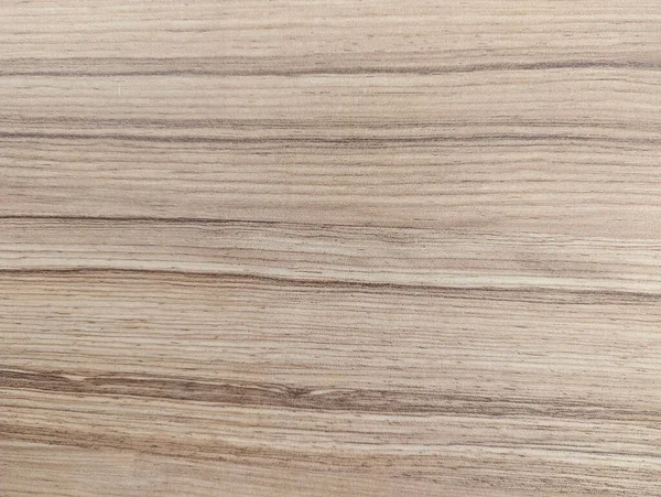 plain wood texture. wood pattern.