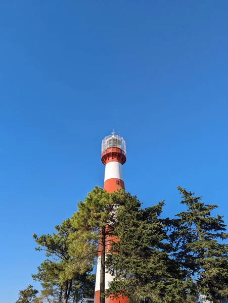 Red White Lighthouse City Poti Georgia — Stock Photo, Image