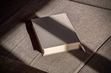 Gri bir kitap desenli bir kanepede uzanıyor, öğleden sonra ışığıyla hafifçe aydınlatılmış.