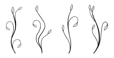 Çeşitli yaprakların el yapımı botanik çizimleri. Vektör illüstrasyonu