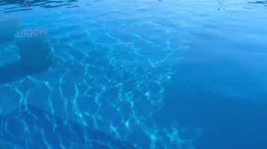 Yüzme havuzu suyu gün ışığında parıldıyor. Yüksek kalite 4k görüntü