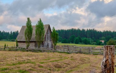 Uzun ağaçlar ve bulutlu bir gökyüzü tarafından çerçevelenmiş bir tarlada kırsal bir ahır duruyor.