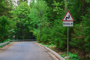 Sarmal bir yol tabelası yemyeşil bir ormanda dolambaçlı bir yolun yanında duruyor.