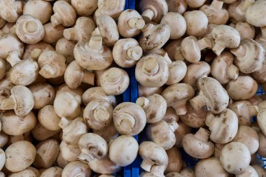 Fresh mushrooms piled high in a market setting