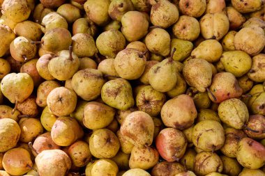Ripe pears piled high at a local market stand