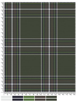 Bu resim, karmaşık tartan deseni ve renk değişimlerini vurgulayan cetvel ve renk paleti içeren ekose kumaş örneklerini gösterir..