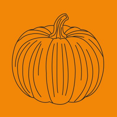 Turuncu kabak vektör çizim