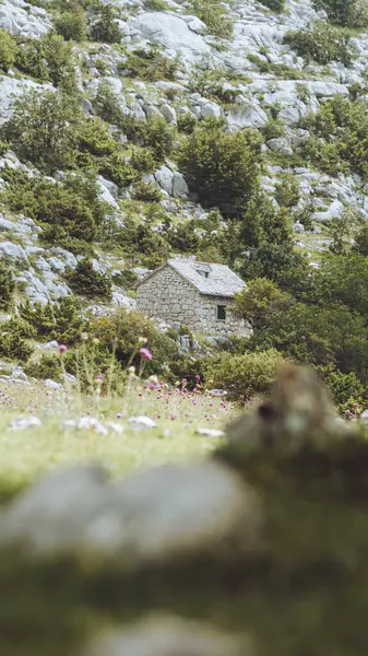 Dağların güzel manzarası