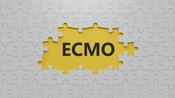 ECMO kelimesi kayıp parçaları olan beyaz yapboz parçalarına yazılmıştır. Tıbbi kavram. Beyaz yapboz parçalarına yakın çekim, içinde eksik parçalar, sarı arka planda 3D İş Konsepti.