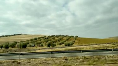 Kırsal kesimde bir yol. Araba penceresinden görünüm