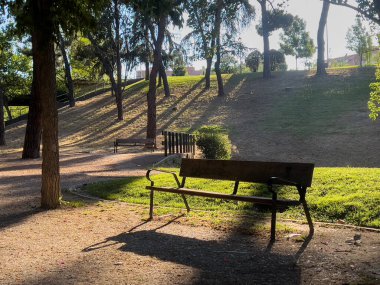 Parkta boş ve yalnız bir bank.