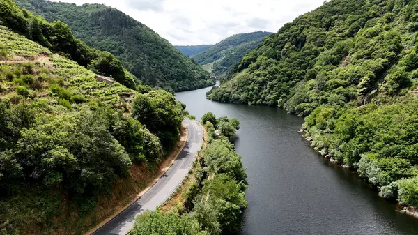Dağlar arasında bir nehri çevreleyen bir yolun havadan görünüşü 