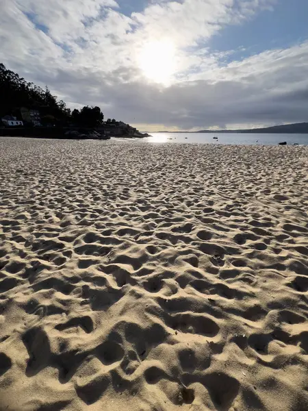 beautiful landscape of a beach with golden sand at sunset