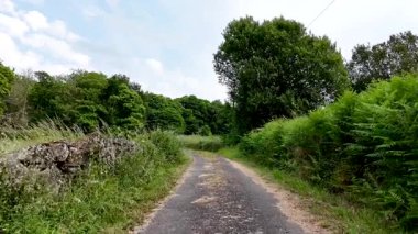 Ormanlarla çevrili küçük bir köy yolu. İHA