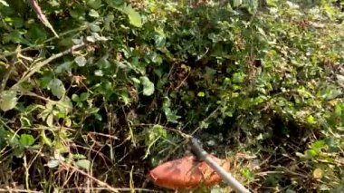 Tarlada çalıları kesen bir fırça kesicinin yavaş çekim görüntüsü. Ormanda temizlik işi.