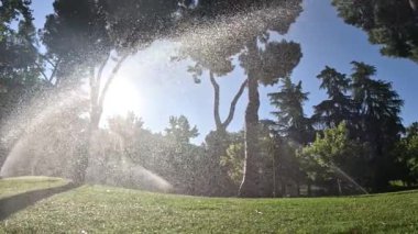 Yavaş çekimde bir parkın otomatik sulaması