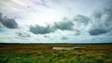 St Johns Nehri taşkın ovası ve otlakları
