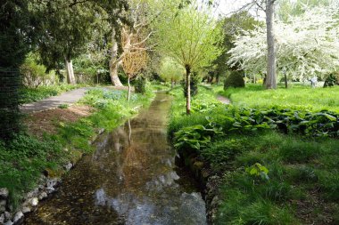 Canlı bahar bahçesinden akan huzurlu dere taze yeşillik ve çiçek açan ağaçlarla