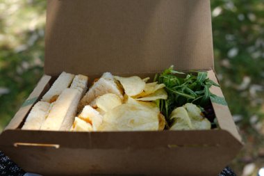Açık hava pikniği sırasında güneşli bir park ortamında çimenlerin üzerine yerleştirilmiş sandviçlerle dolu karton bir kutu.