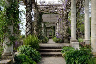 Pathway ve Steps through Stone Pergola with Blooming Wisteria