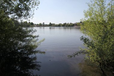 Sahilde ağaçlarla kaplı göl manzarası ve arka planda mavi gökyüzü.