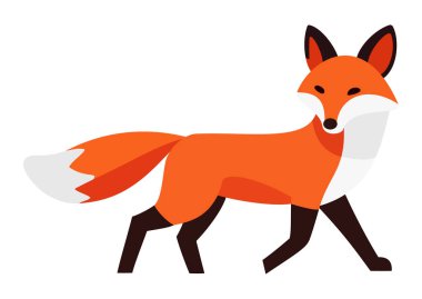 Hayvan temalı tasarımlar, logolar veya dijital sanat eserleri için mükemmel turuncu ve beyaz bir tilki vektör simgesi