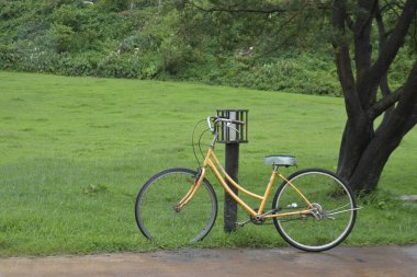 Lush Green Garden 'daki Post' a yaslanan Klasik Sarı Bisiklet Günü