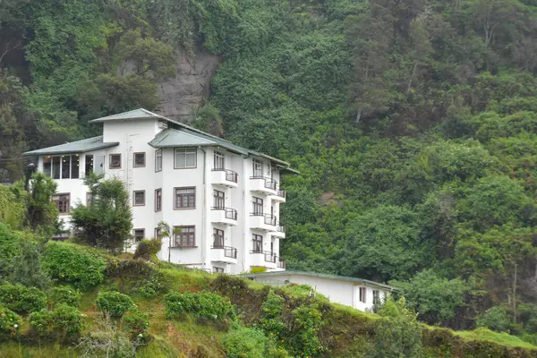 Beyaz Hillside Otel Binası Yeşil Yeşiller Ormanı 'nın ortasında