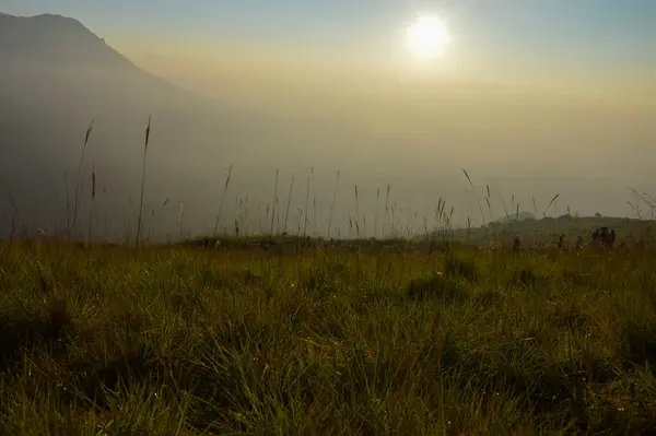 Grassy Highland Ovalarında Dağ Silueti ile Altın Gün Batımı