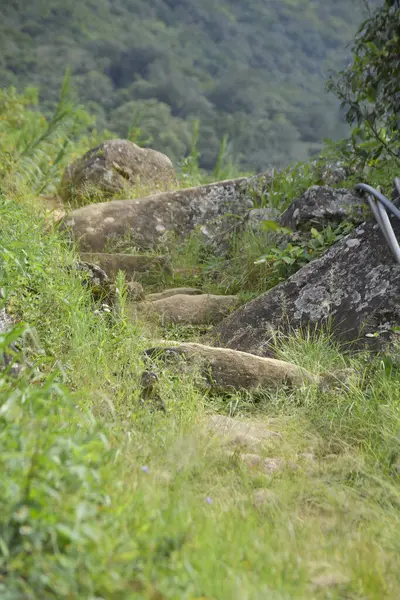 Kırsal Taş Adımları Yeşil Dağ Yolu 'nda Dönüyor
