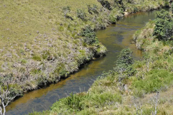 Huzurlu Dağ Deresi Otlak Dağlık Topraklardan akıyor
