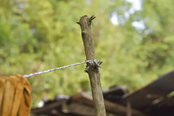 Basit Çamaşır İpi Kırsal Ayarlardaki Ahşap bir direğe Bağlandı