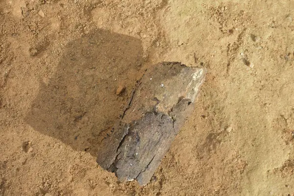 Yıpranmış ve çatlamış bir kütük parçasının yakın çekim, yukarıdan aşağı görüntüsü kısmen kuru, kum tanecikli toprağa gömülmüş. Güneş ışığı, hem çürüyen tahtanın hem de çevreleyen toprağın pürüzlü dokusunu aydınlatan belirgin bir gölge oluşturur..