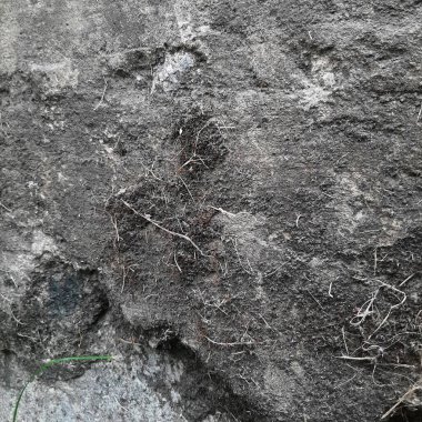 Soyut grunge arkaplanı. Monokrom dokusu. Siyah ve beyaz desenli arkaplan