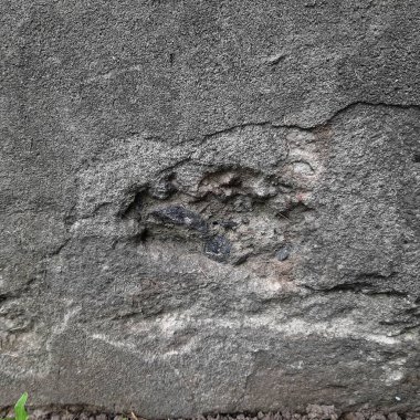 Gri alçıyla kaplanmış eski bir duvarın dokusu