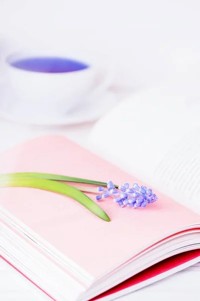 Blume Blaue Muscari Oder Traubenhyazinthe Rosa Buchseiten Und Blauer Tee — Stockfoto